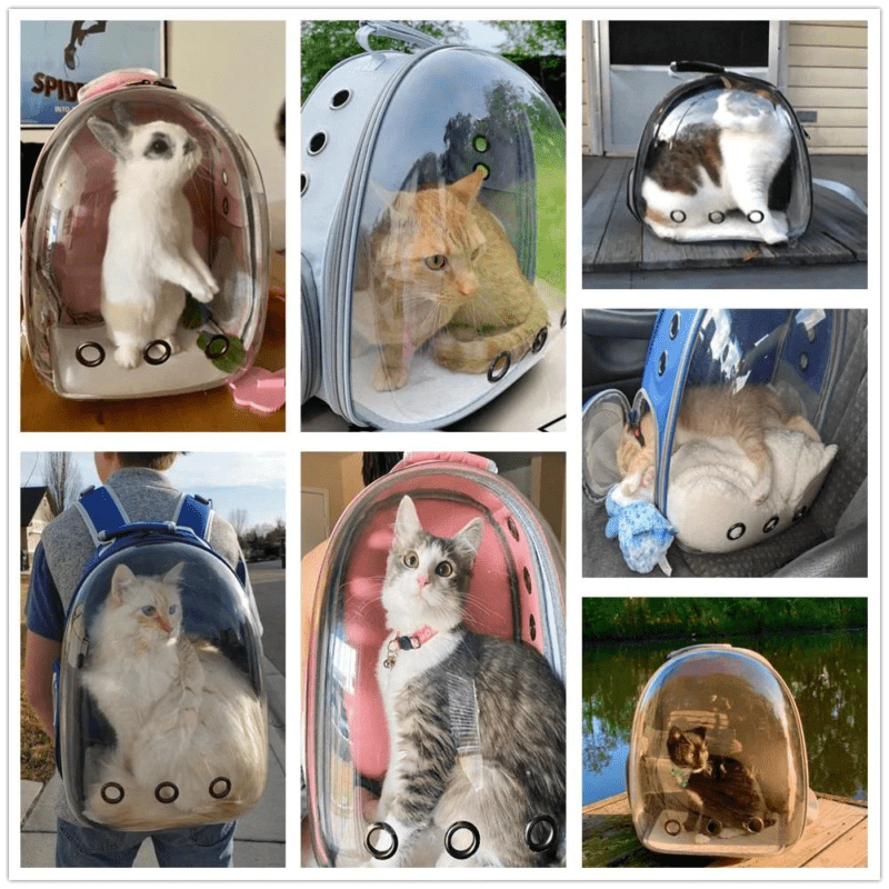 Maleta Para Mascotas Perro O Gato Morral